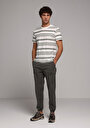 thumb-Regular Fit Yuvarlak Yaka Çizgili Erkek Beyaz Kısa Kol Tişört