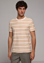 thumb-Regular Fit Yuvarlak Yaka Çizgili Erkek Kahverengi Kısa Kol Tişört