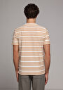 thumb-Regular Fit Yuvarlak Yaka Çizgili Erkek Kahverengi Kısa Kol Tişört