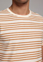 thumb-Regular Fit Yuvarlak Yaka Çizgili Erkek Kahverengi Kısa Kol Tişört