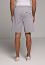 thumb-Regular Fit Orta Bel Düz Erkek Gri Şort