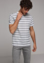 thumb-Regular Fit Yuvarlak Yaka Çizgili Erkek Mavi Kısa Kol Tişört