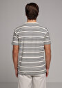 thumb-Regular Fit Yuvarlak Yaka Çizgili Erkek Lacivert Kısa Kol Tişört
