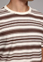 thumb-Regular Fit Yuvarlak Yaka Çizgili Erkek Kahverengi Kısa Kol Tişört